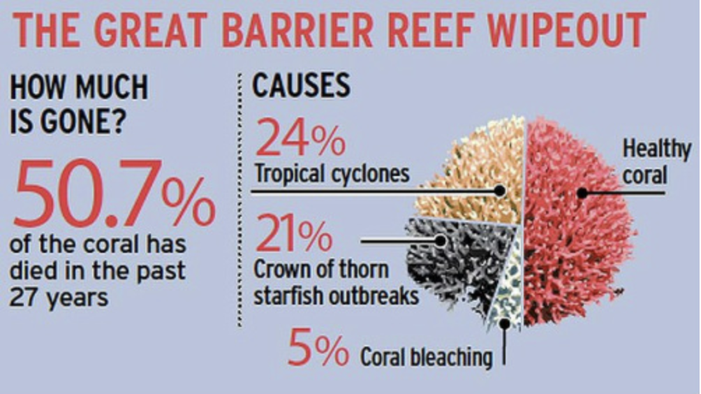 Great Barrier Reef Wipeout